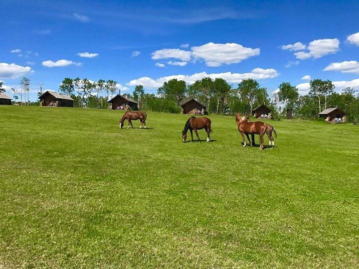 Flying U Ranch Hotell Seventy Mile House Exteriör bild